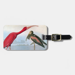 Audubon: Scarlet Ibis Luggage Tag