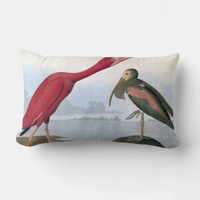 Audubon: Scarlet Ibis Lumbar Pillow (Front)
