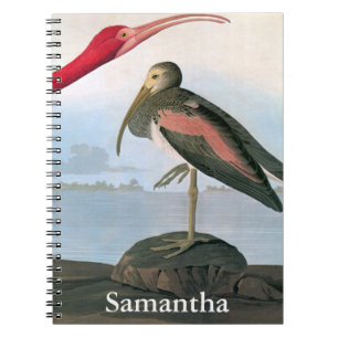 Audubon: Scarlet Ibis Notebook