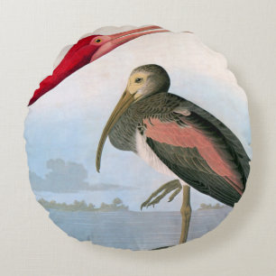 Audubon: Scarlet Ibis Round Pillow