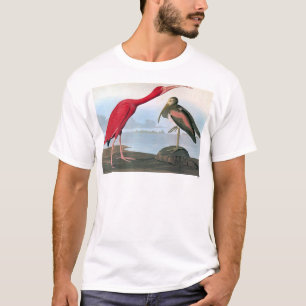 Audubon: Scarlet Ibis T-Shirt