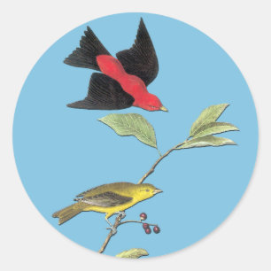 Audubon Scarlet Tanager Bird Art Stickers