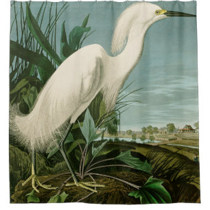 Audubon Snowy Heron White Egret Bird Birding