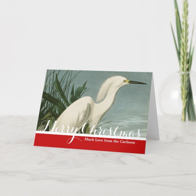 Audubon Snowy Heron White Egret Bird Birding Holiday Card (Front)