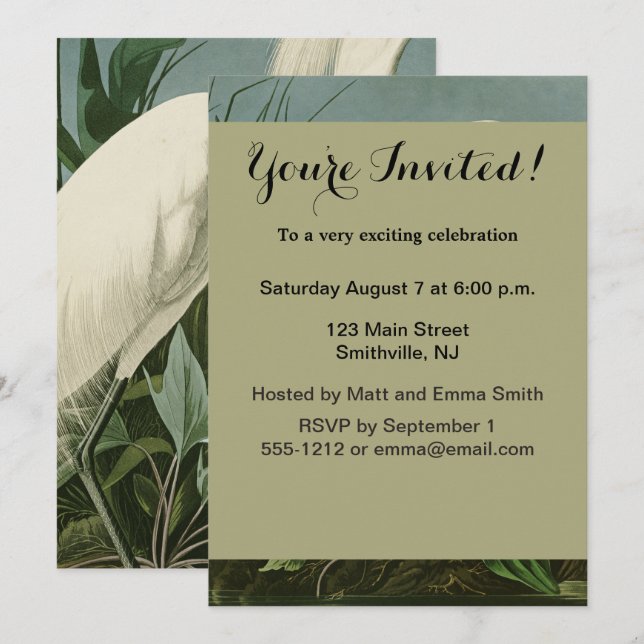 Audubon Snowy Heron White Egret Bird Birding Invitation (Front/Back)