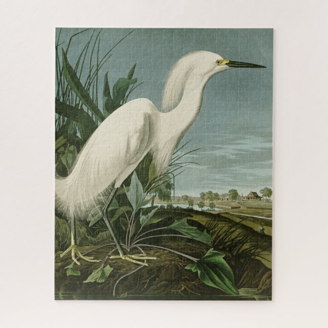 Audubon Snowy Heron White Egret Bird Birding Jigsaw Puzzle (Vertical)
