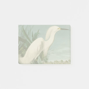 Audubon Snowy Heron White Egret Bird Birding Post-it Notes