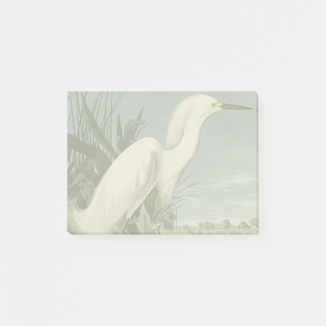 Audubon Snowy Heron White Egret Bird Birding Post-it Notes (Front)