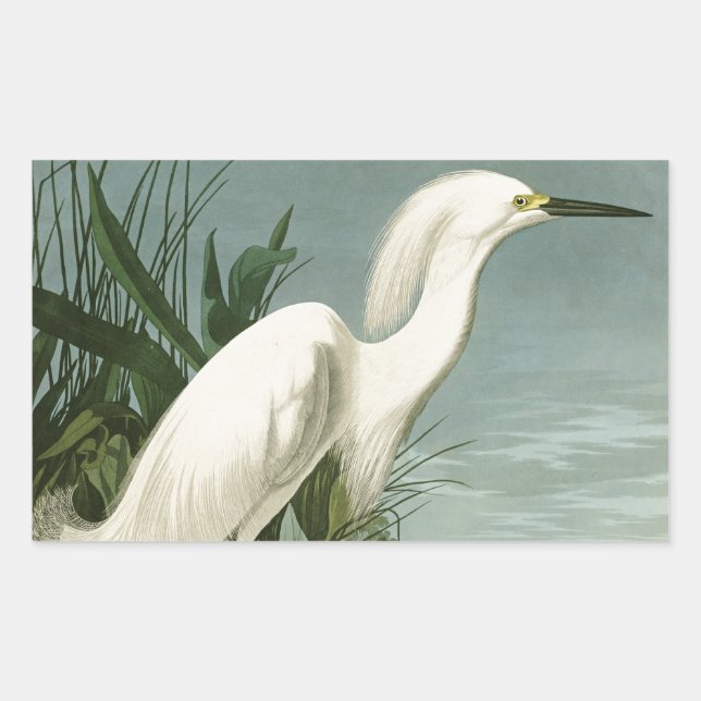 Audubon Snowy Heron White Egret Bird Birding Sticker (Front)