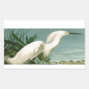 Audubon Snowy Heron White Egret Bird Birding Sticker