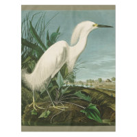 Audubon Snowy Heron White Egret Bird Birding