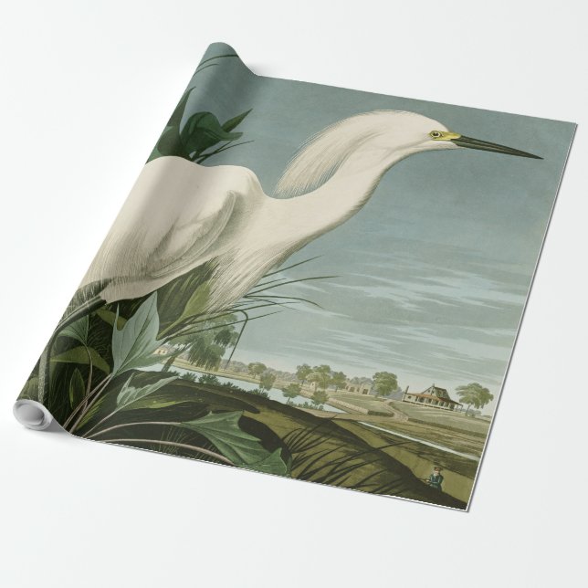 Audubon Snowy Heron White Egret Bird Birding Wrapping Paper (Unrolled)