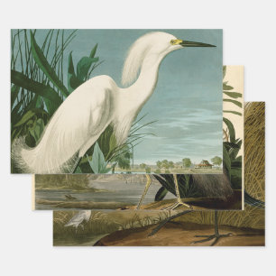 Audubon Snowy Heron White Egret Bird Birding Wrapping Paper Sheet