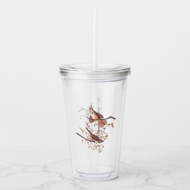 Audubon Song Sparrow with Tiny Spider Acrylic Tumbler (Front)