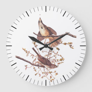 Audubon Song Sparrow with Tiny Spider Large Clock