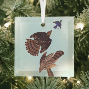 Audubon Stanley's Hawk Hunting a Blue Bird Glass Ornament