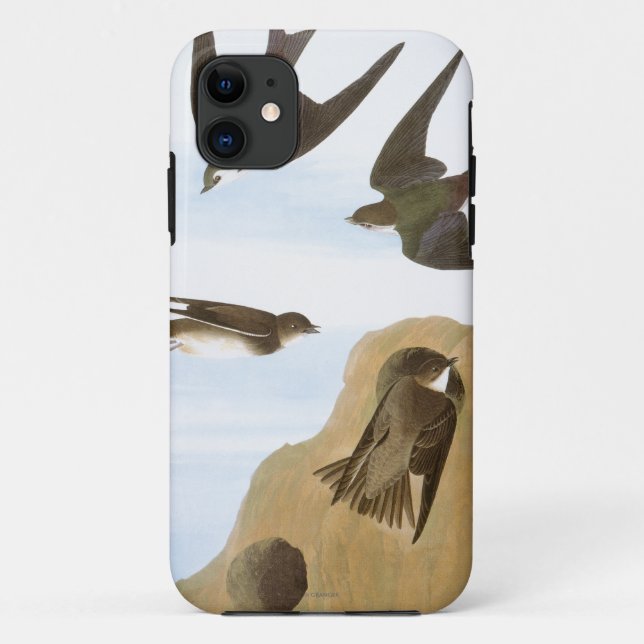 Audubon: Swallows Case-Mate iPhone Case (Back)