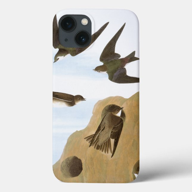 Audubon: Swallows Case-Mate iPhone Case (Back)