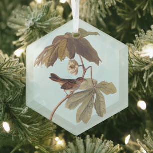 Audubon Swamp Sparrow Bird on Wild Mandrake Glass Ornament