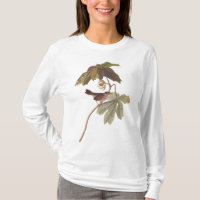 Audubon Swamp Sparrow Bird on Wild Mandrake