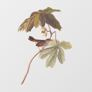 Audubon Swamp Sparrow Bird on Wild Mandrake Window Cling