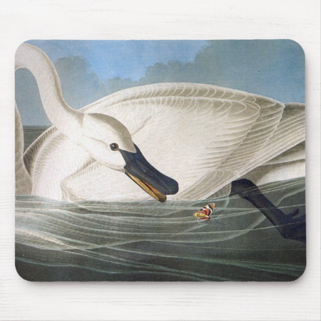 Audubon Swan Mousepad (Front)