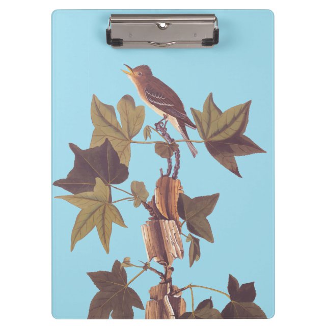 Audubon Traill's Flycatcher Songbird Clipboard (Front)