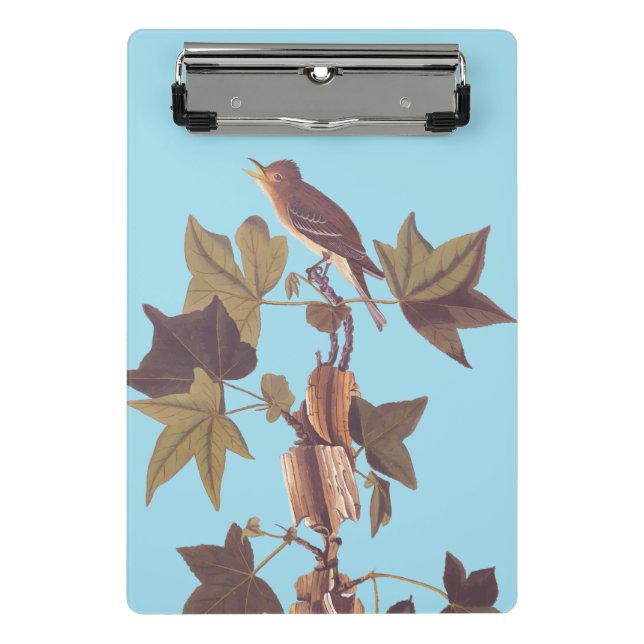 Audubon Traill's Flycatcher Songbird Mini Clipboard (Front)