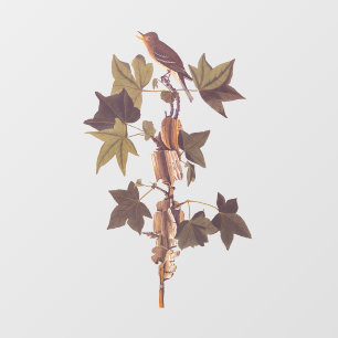 Audubon Traill's Flycatcher Songbird Window Cling