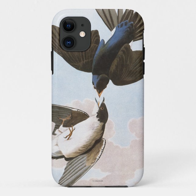 Audubon: Tree Swallow Case-Mate iPhone Case (Back)