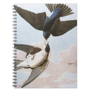 Audubon: Tree Swallow Notebook