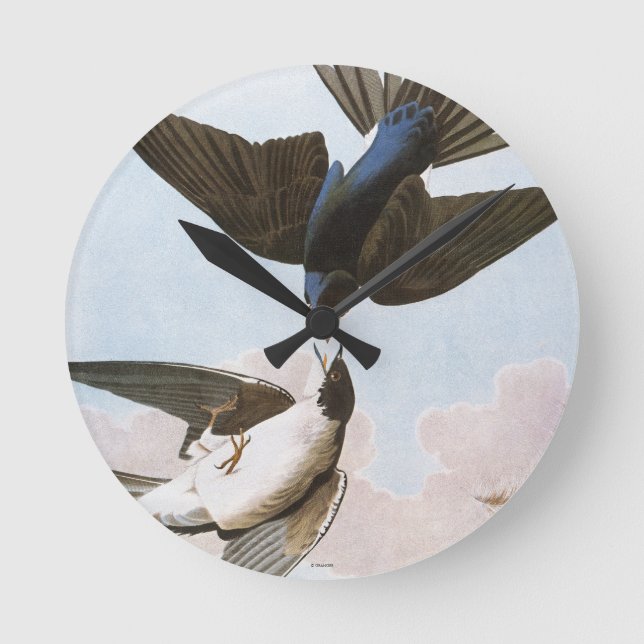 Audubon: Tree Swallow Round Clock (Front)