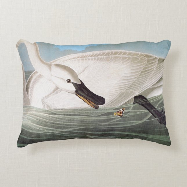 Audubon: Trumpeter Swan Accent Pillow (Front)