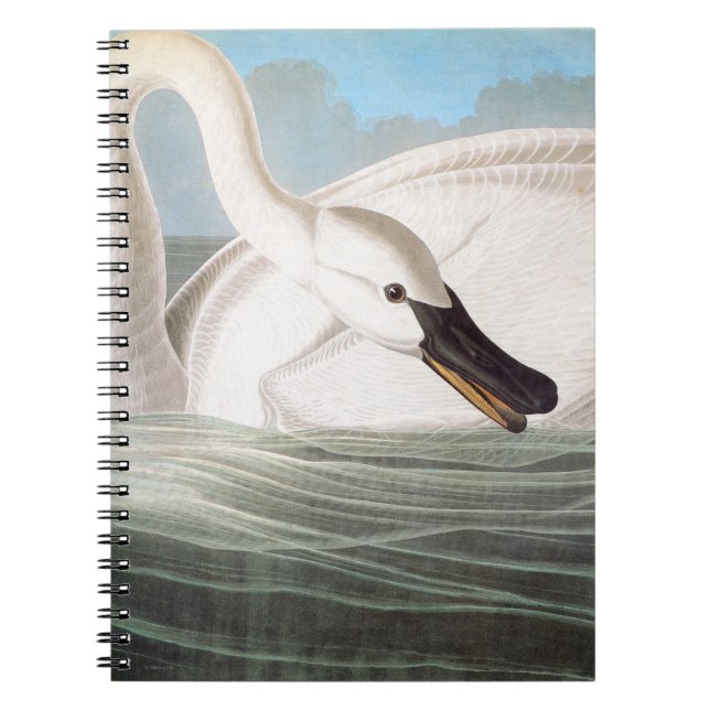 Audubon: Trumpeter Swan Notebook (Front)