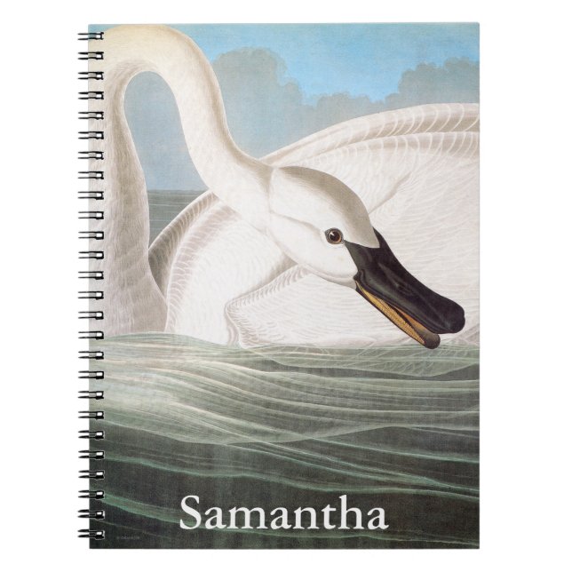 Audubon: Trumpeter Swan Notebook (Front)