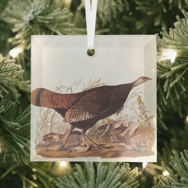Audubon Turkey Hen and Chicks in Autumn Glass Ornament (Insitu)