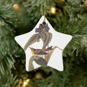 Audubon Vigour's Vireo with Purple Flower Ceramic Ornament