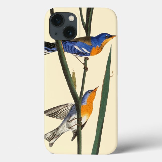 Audubon: Warbler Case-Mate iPhone Case (Back)