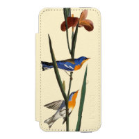 Audubon: Warbler