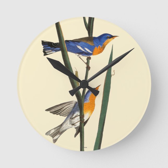 Audubon: Warbler Round Clock (Front)