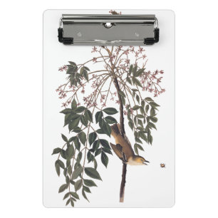 Audubon White Eyed Vireo Song Bird Art Mini Clipboard
