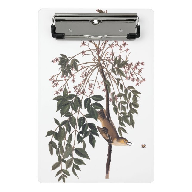 Audubon White Eyed Vireo Song Bird Art Mini Clipboard (Front)