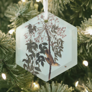 Audubon White Eyed Vireo Song Bird Art Throw Blank Glass Ornament