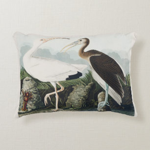 Audubon White lbis Bird Wildlife Painting Accent Pillow
