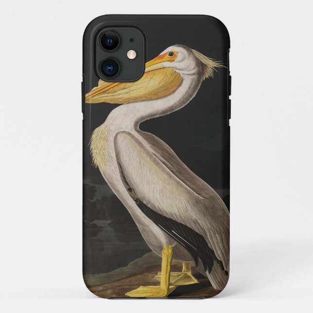 Audubon White Pelican Bird America Case-Mate iPhone Case (Back)