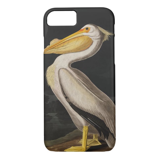 Audubon White Pelican Bird America Case-Mate iPhone Case (Back)