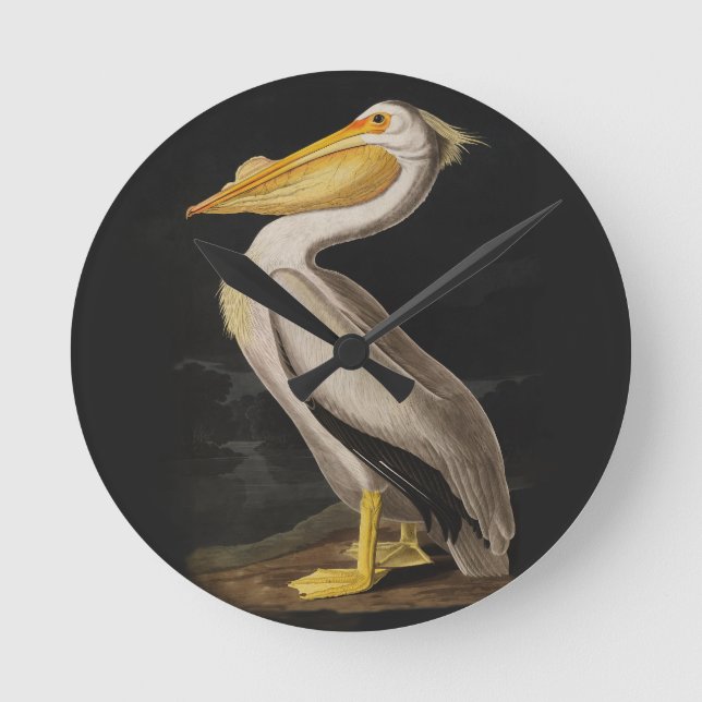 Audubon White Pelican Bird America Round Clock (Front)
