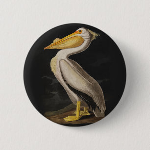 Audubon White Pelican Bird Vintage Print 2 Inch Round Button