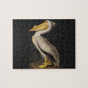 Audubon White Pelican Bird Vintage Print Jigsaw Puzzle
