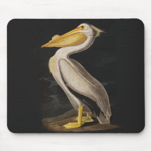 Audubon White Pelican Bird Vintage Print Mouse Pad